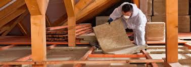 Best Crawl Space Insulation  in Washoe Valley, NV